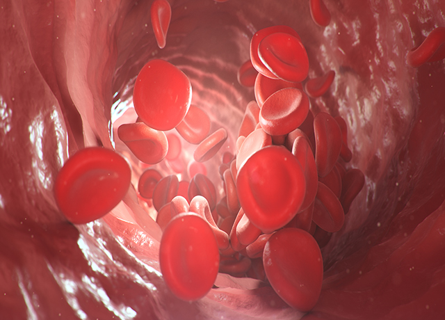 血液、身體、健康-康興醫(yī)療器械官網(wǎng)